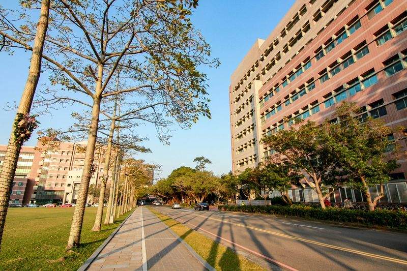 小学生向け基礎学習指導
